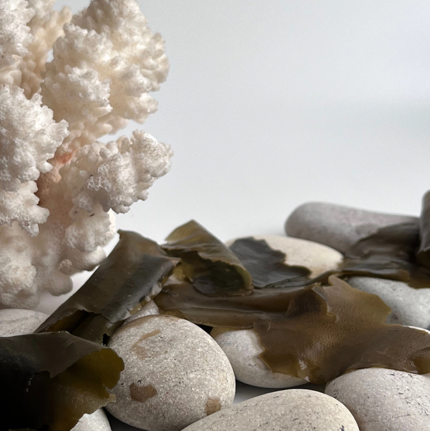 «Хочу на морюшко»