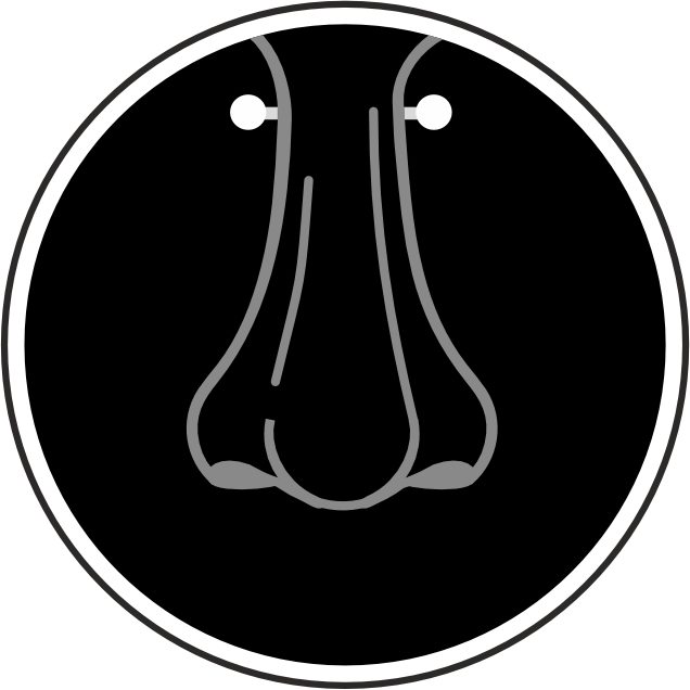 Пирсинг бридж