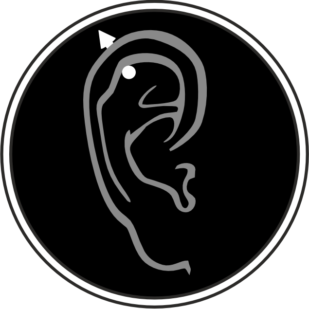 Пирсинг пинна