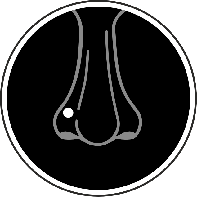 Пирсинг крыла носа