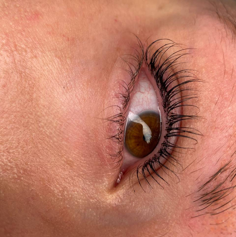 Ресницы ✅Окрашивание