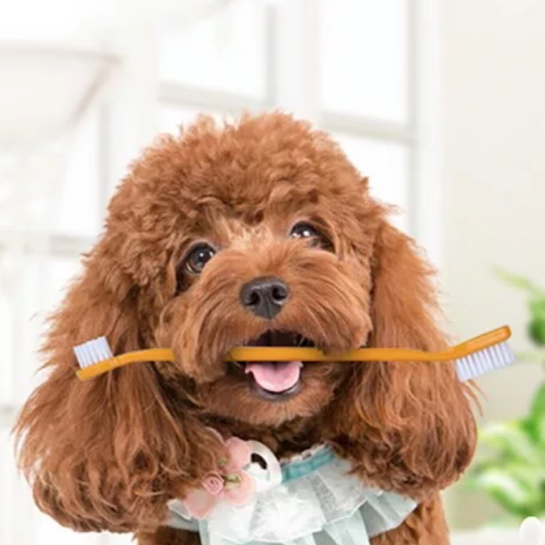 Чистка зубов пастой