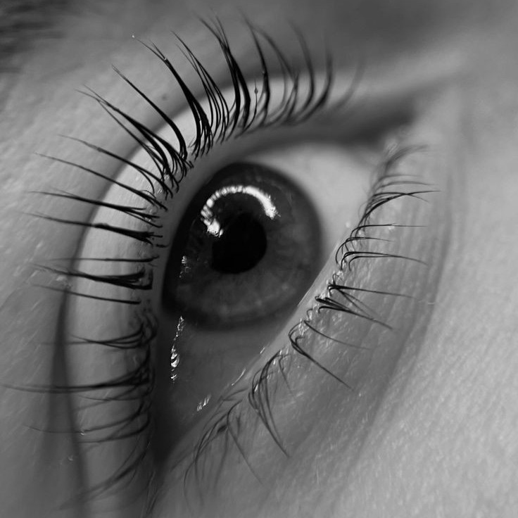 Ламинирование верхних и нижних ресниц + уход (увлажнение, питание, рост)