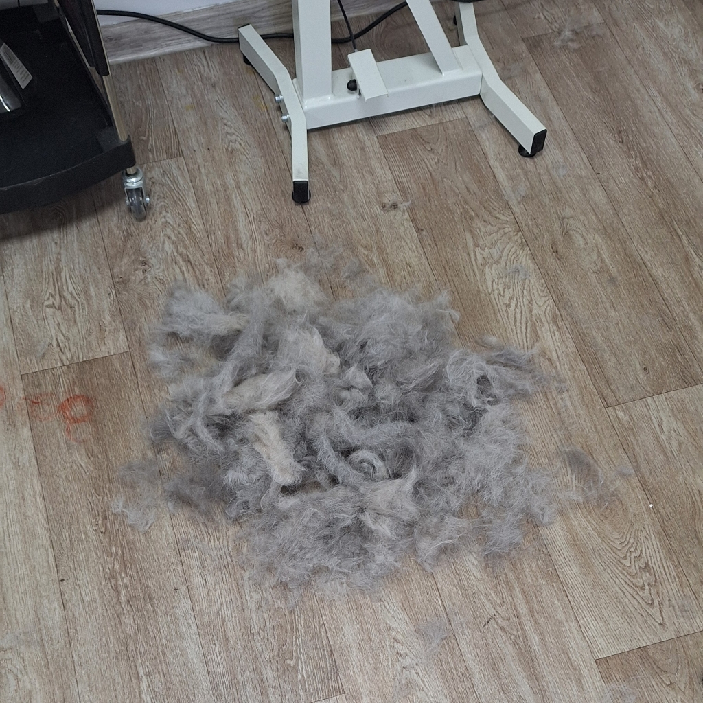 Вычесывание кошки