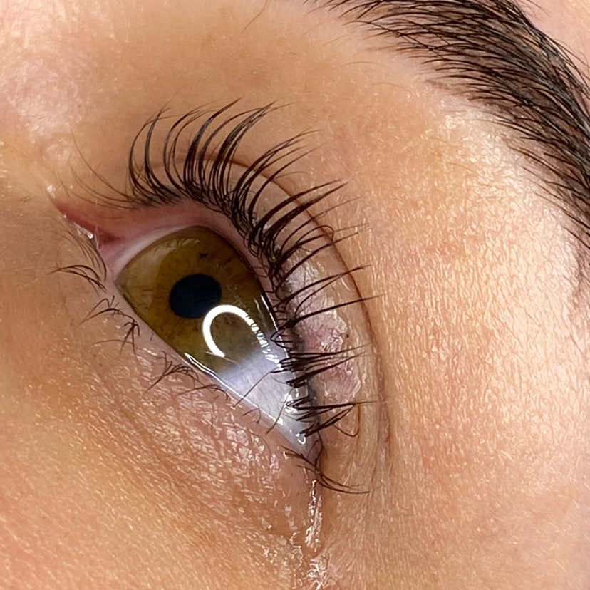 Лами ресниц