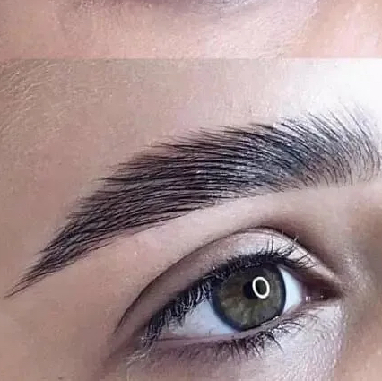 Архитектура бровей