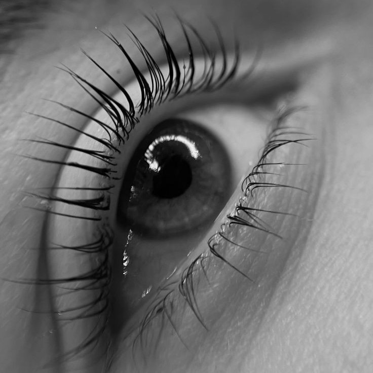 Ламинирование нижних ресниц +уход