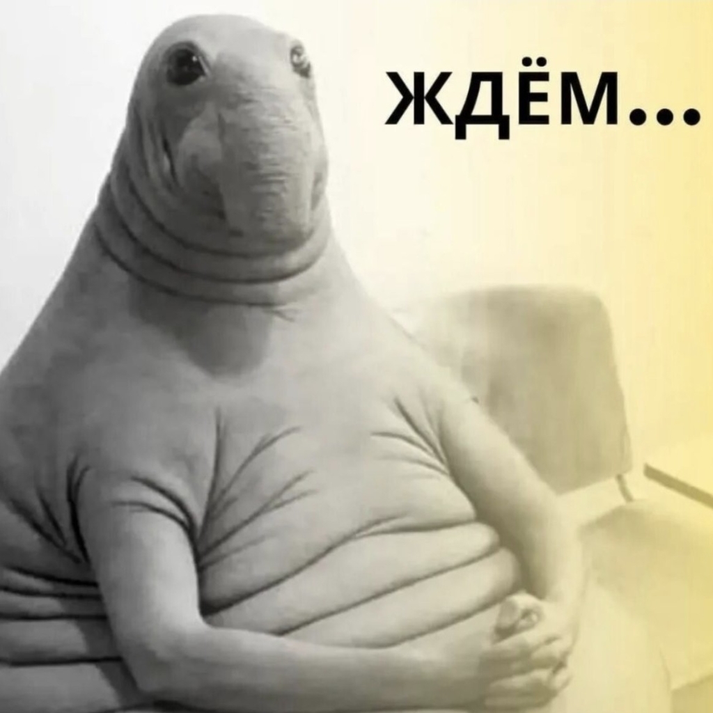 Ожидание владельца свыше 30 мин. после окончания груминга.