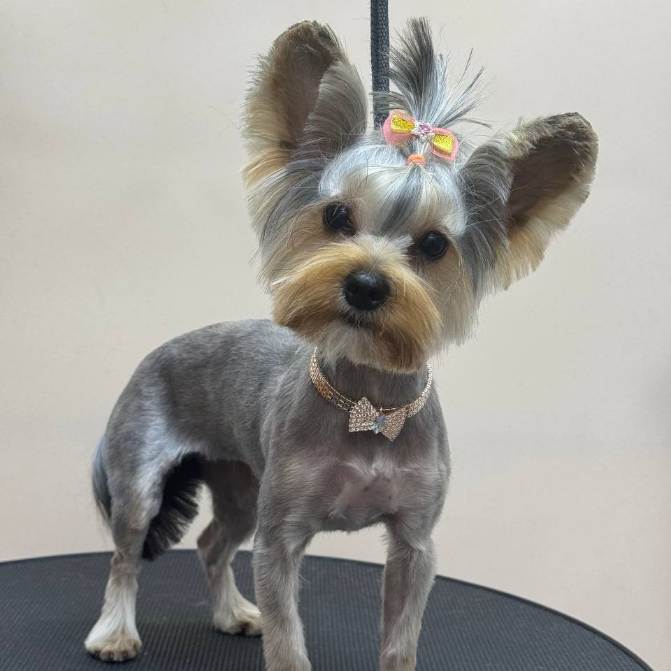 Гигиена с купанием