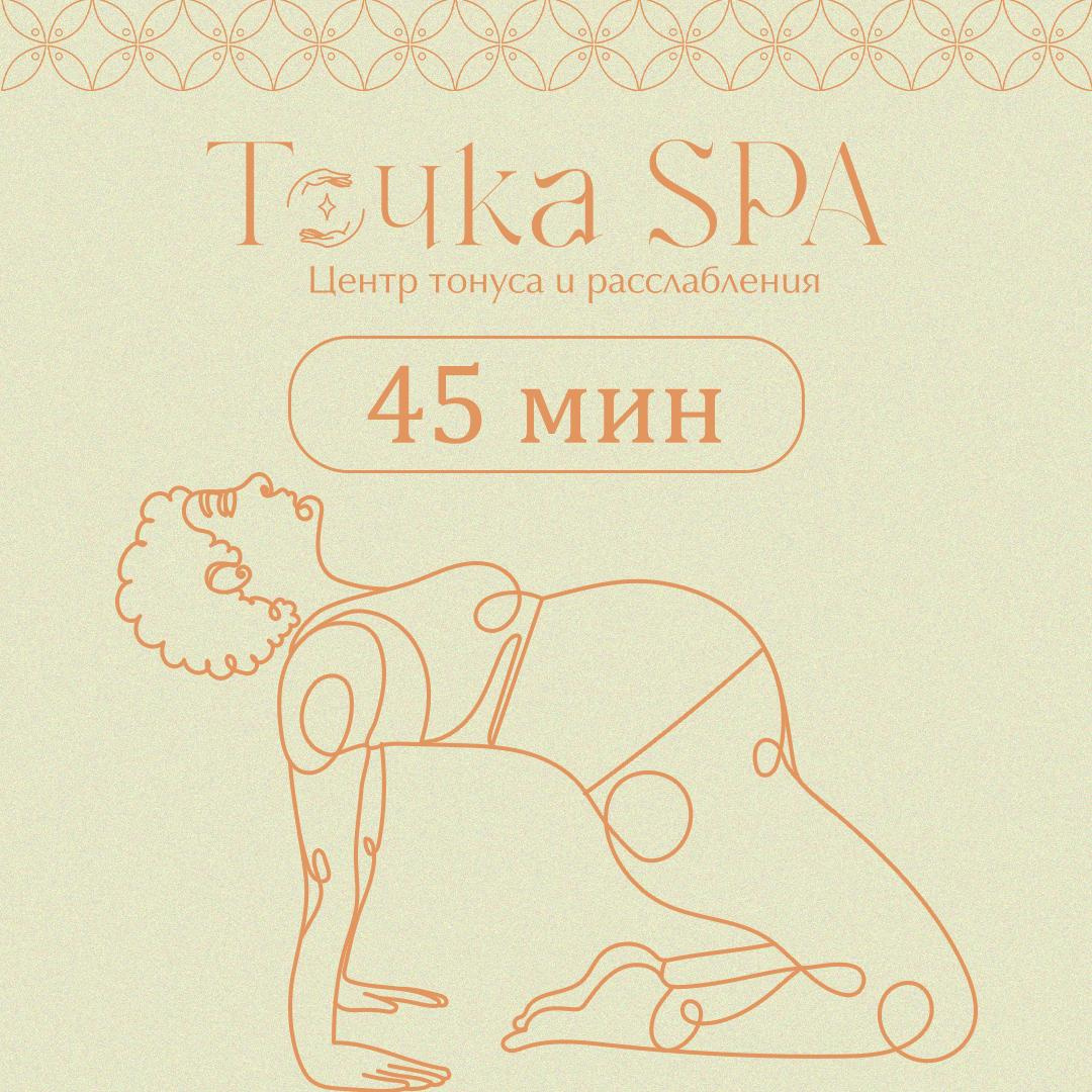 Сеанс для беременных 45 мин. (Специалист)