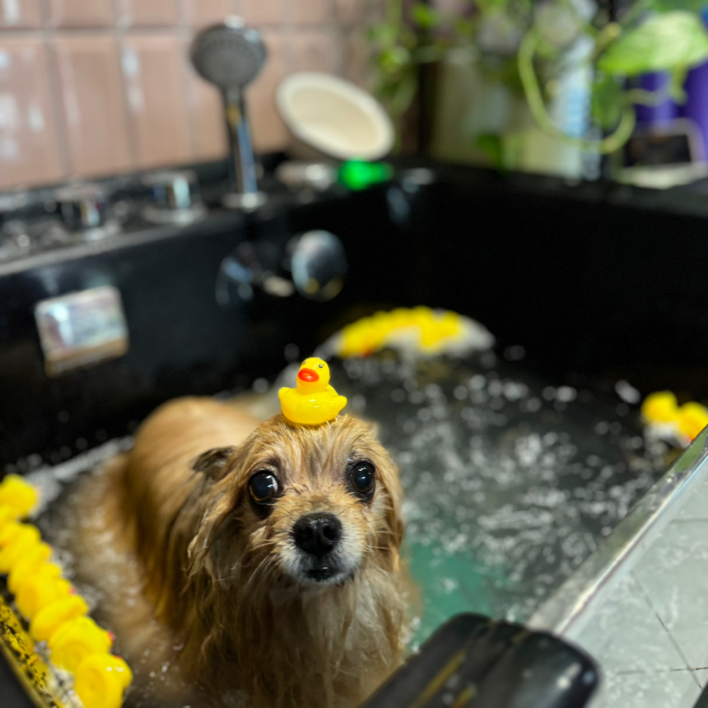 Озонотерапия