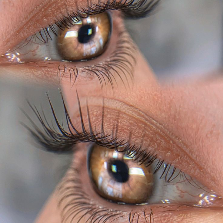 Set 3:  Долговременная укладка бровей + Ламинирование верхних ресниц + Ламинирование нижних ресниц