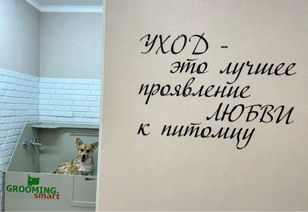 Супер киска көрсет