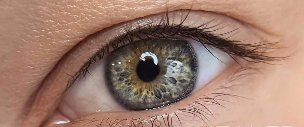 ПМ Межресничка