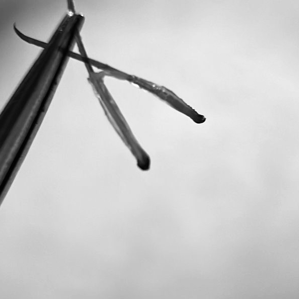 MEN Электроэпиляция 1,5 часа