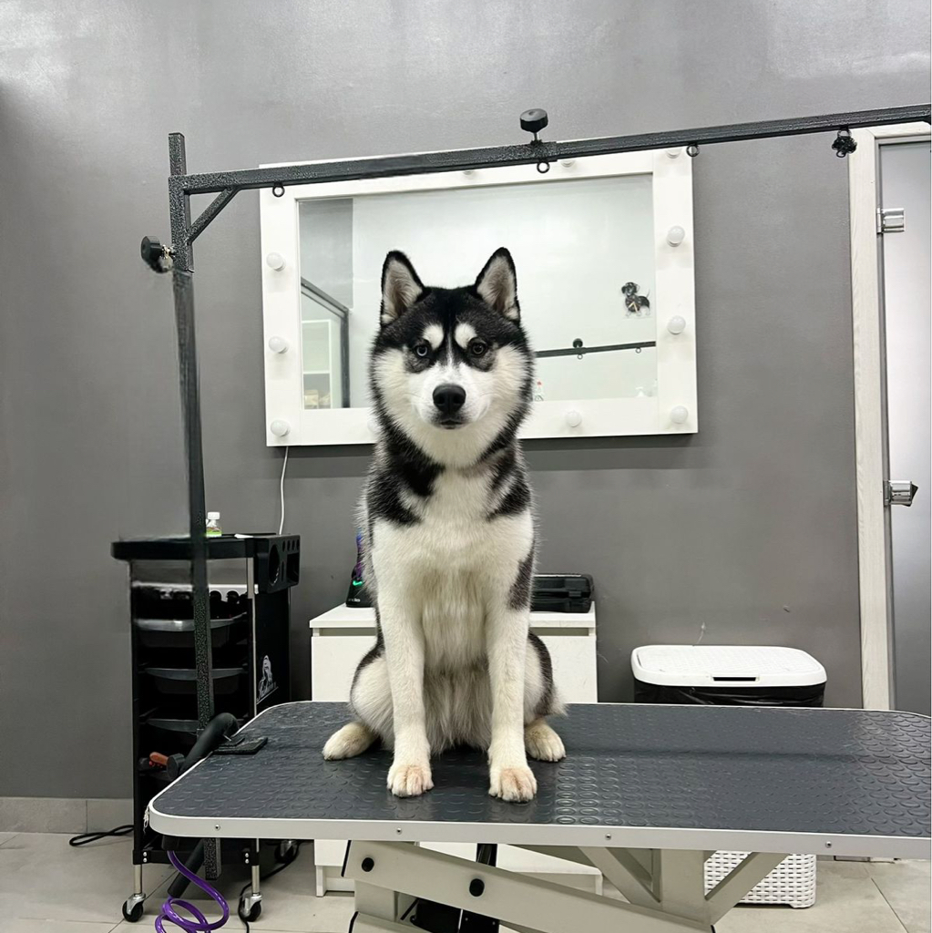 Комплекс для Хаски/Лайки