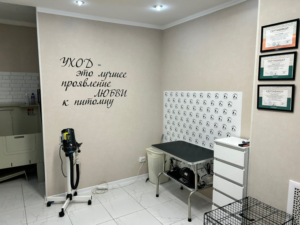 Титаник порно фильмін онлайн көріңіз