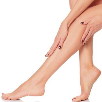 Legs (thighs or shins)
