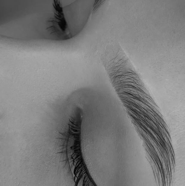 ламинирование + коррекция + уход