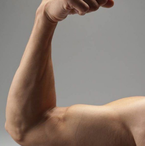 Лазерная эпиляция Руки выше локтя муж