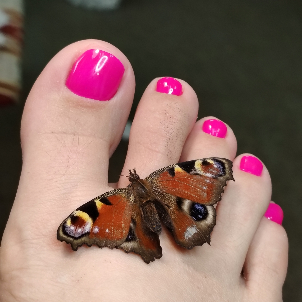 Педикюр с покрытием