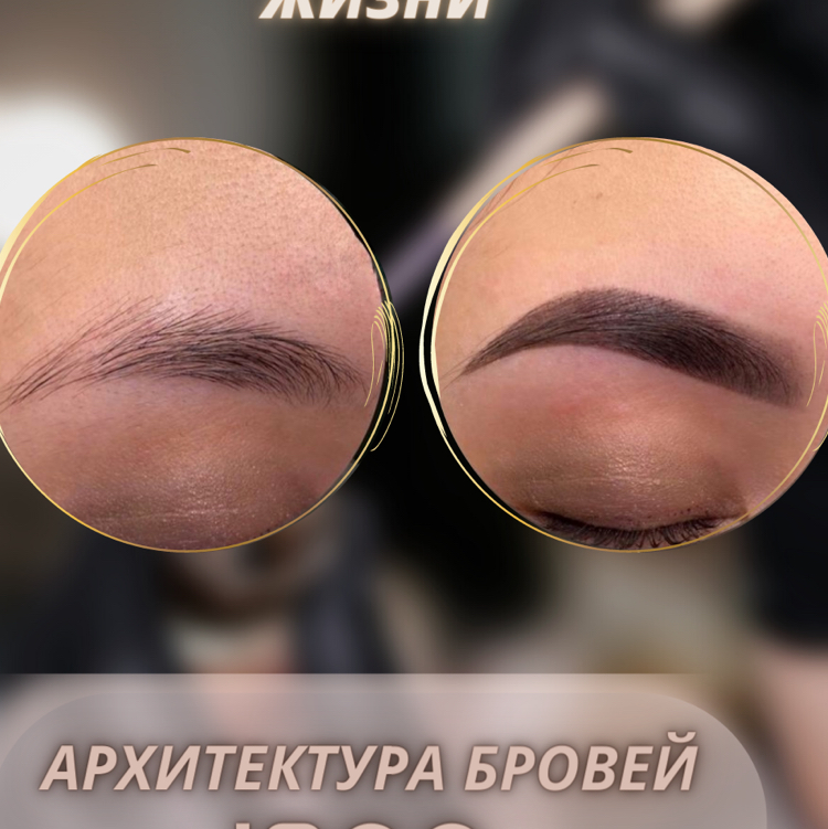 АРХИТЕКТУРА БРОВЕЙ