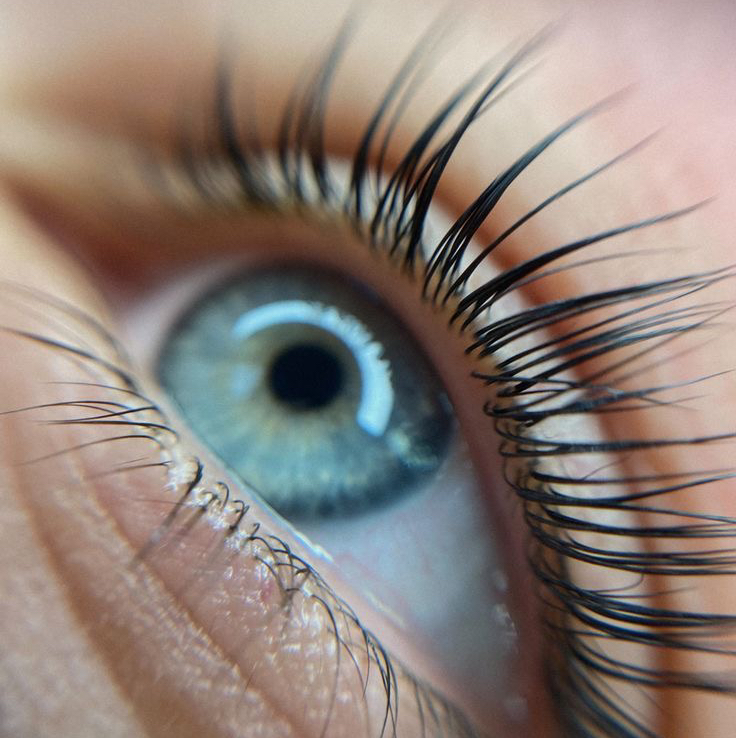 Ламинирование ресниц + окрашивание