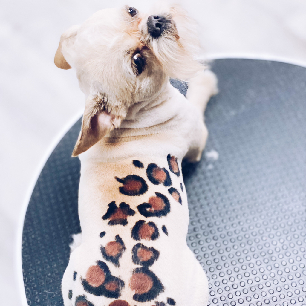 Креативное окрашивание