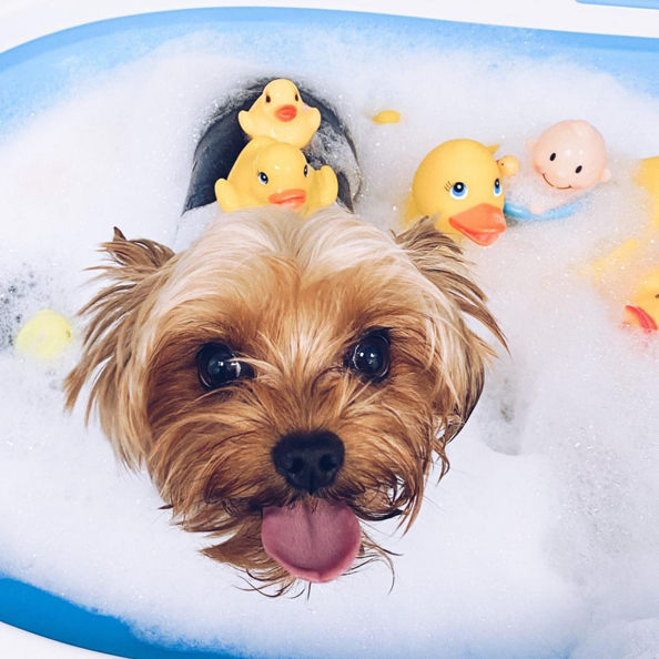 Озоновые ванны