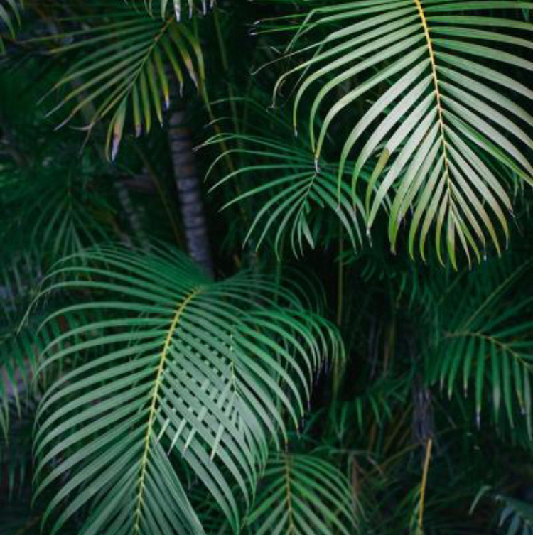 Маникюр обработка  Без покрытия