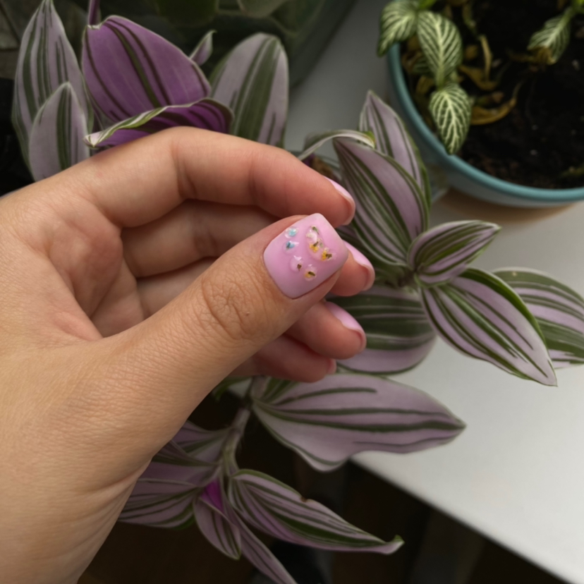 Маникюр + однотонное покрытие