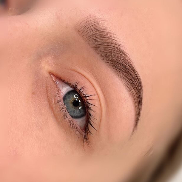 Моделирование бровей + окраска  Хна / Краска