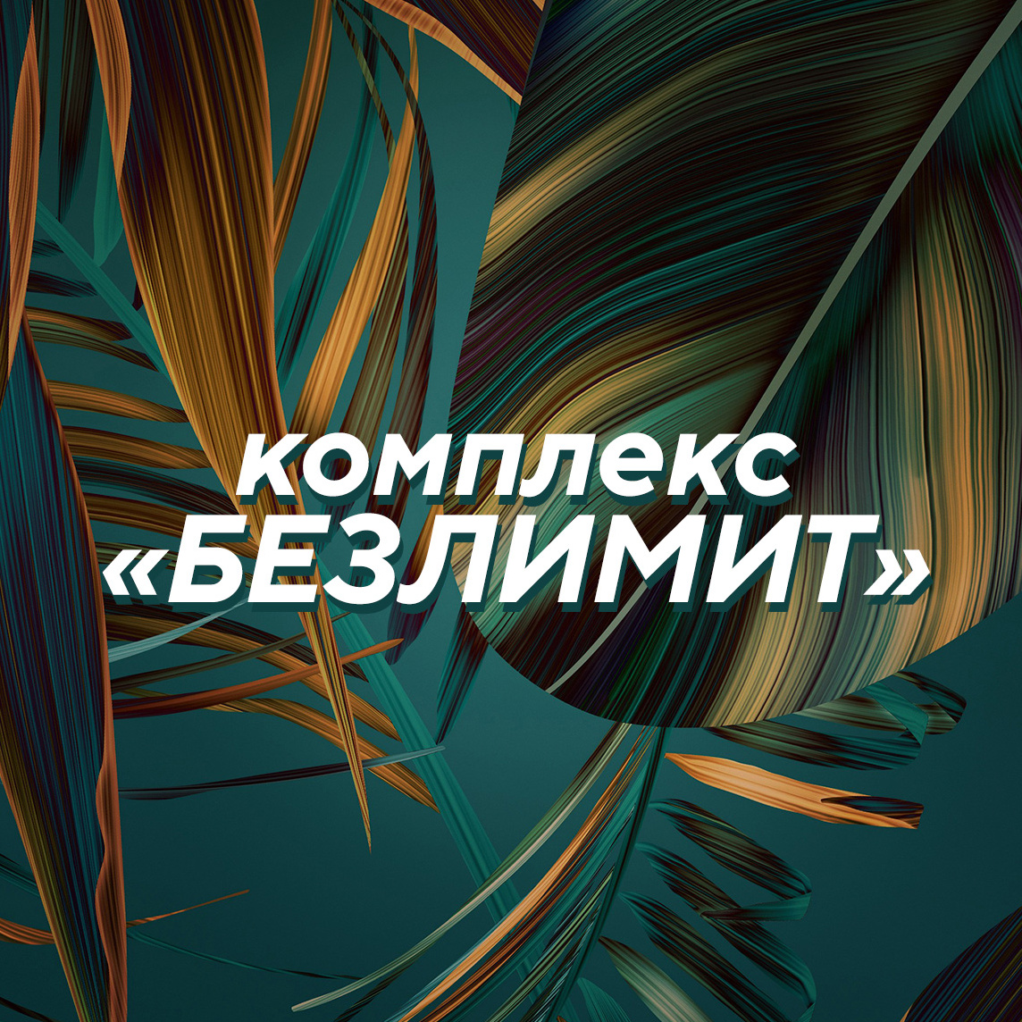 * Комплекс «Безлимит» (любые 6 зон на выбор)
