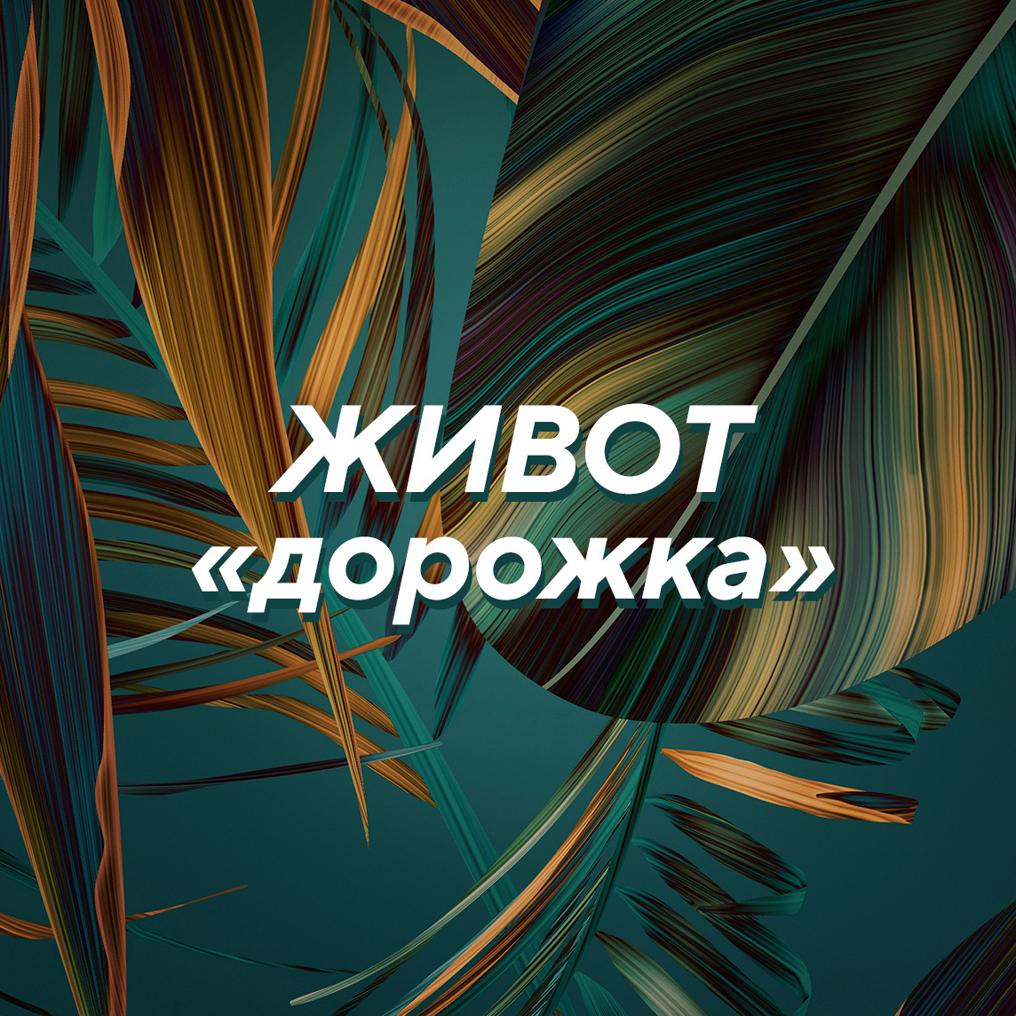 * Живот «дорожка»