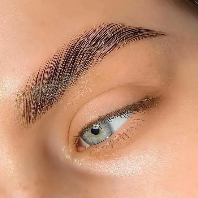 Ламинирование бровей + покраска