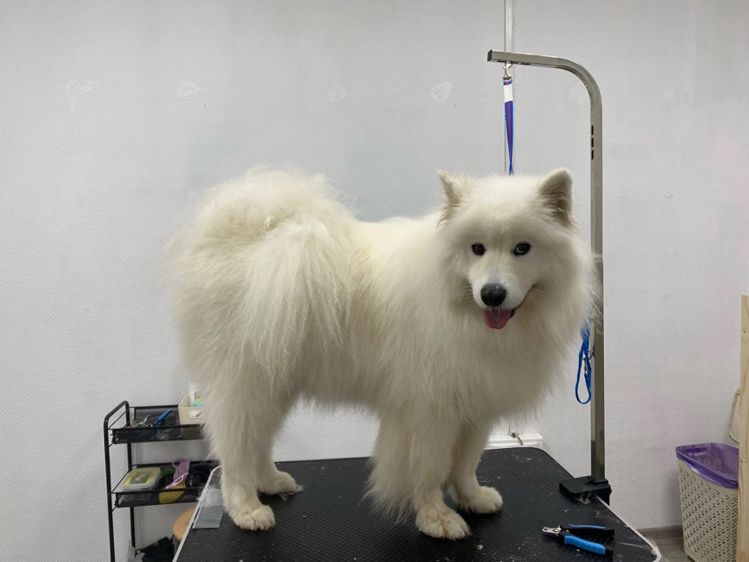 Крупные породы(комплекс)