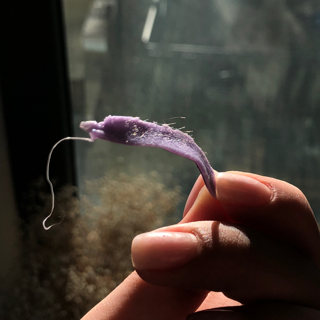 Коррекция бровей