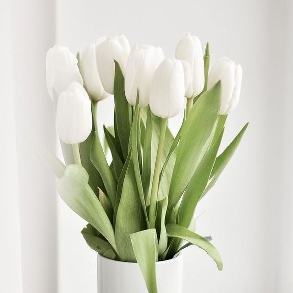 Покупка домашнего ухода (косиетика лицо/тело/волосы)