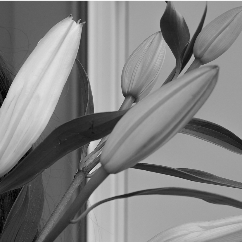 Снятие наращенных ресниц