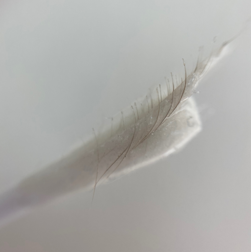 Удаление усиков воском