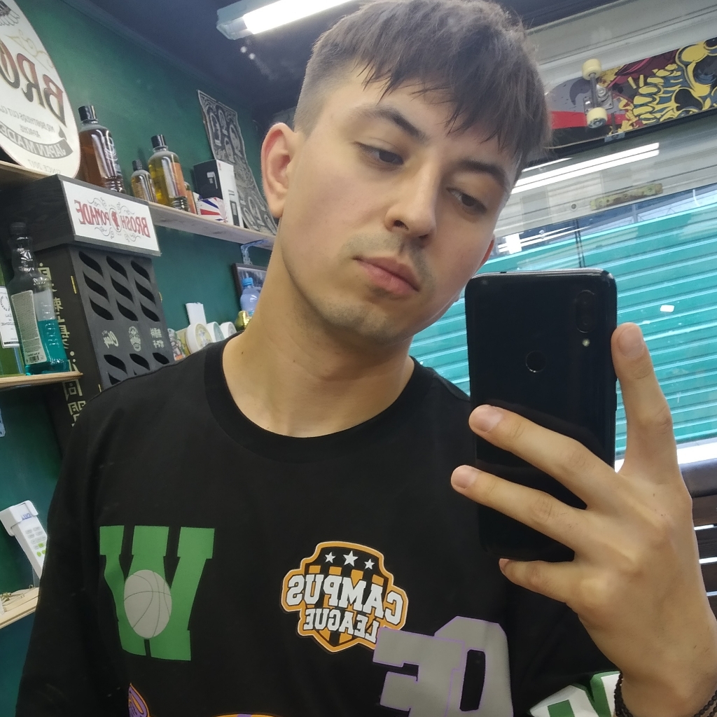 Несмеянов Максим