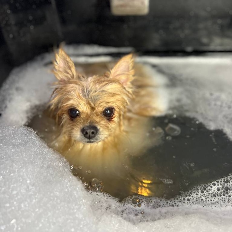 Озонотерапия и гидромассаж