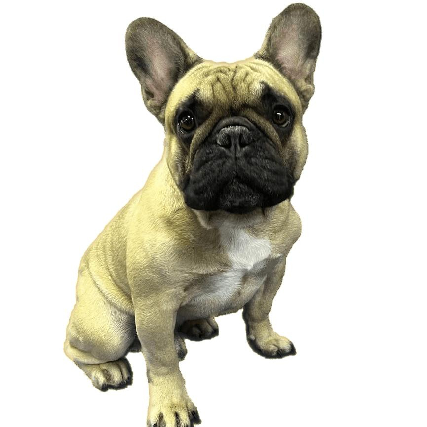 Экспресс линька собак (полный комплекс)