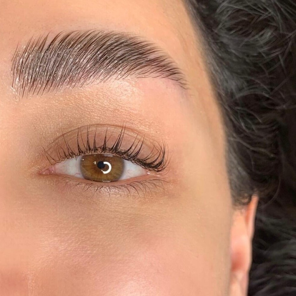 Брови с покраской