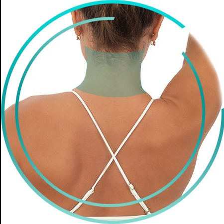 Задняя часть шеи