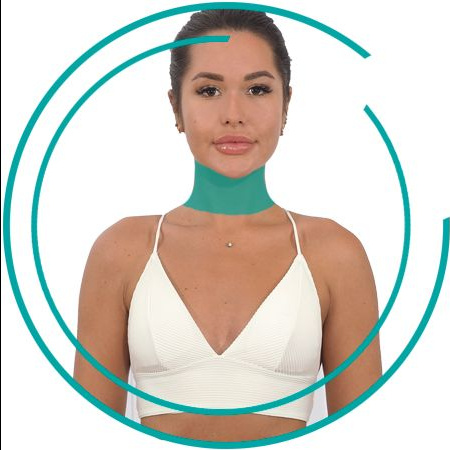 Передняя часть шеи