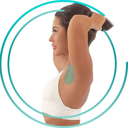 Подмышечные впадины (подмышки)