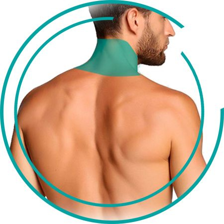 Задняя часть шеи (М)