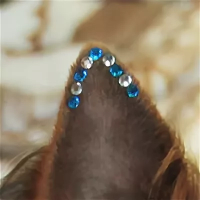 Стразы/Украшение ушей