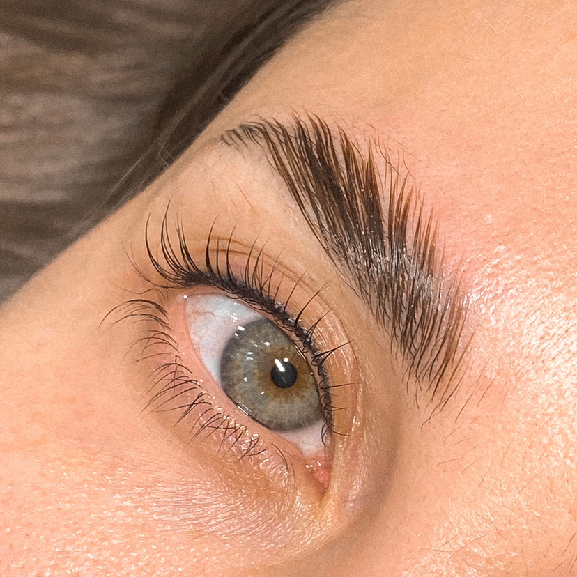 Лами бровей и ресниц